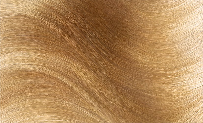 Haircolor 83 Light Golden Blonde Excellence Creme Hair Swatch